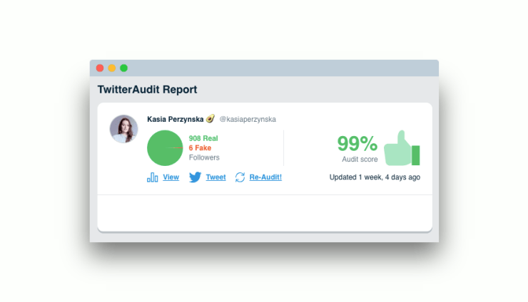 twitter-audit-report