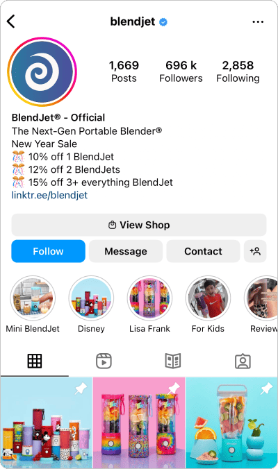 Instagram Bio Ideas for eCommerce