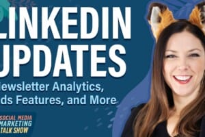 LinkedIn Updates: Newsletter Analytics, Ads Features, and More